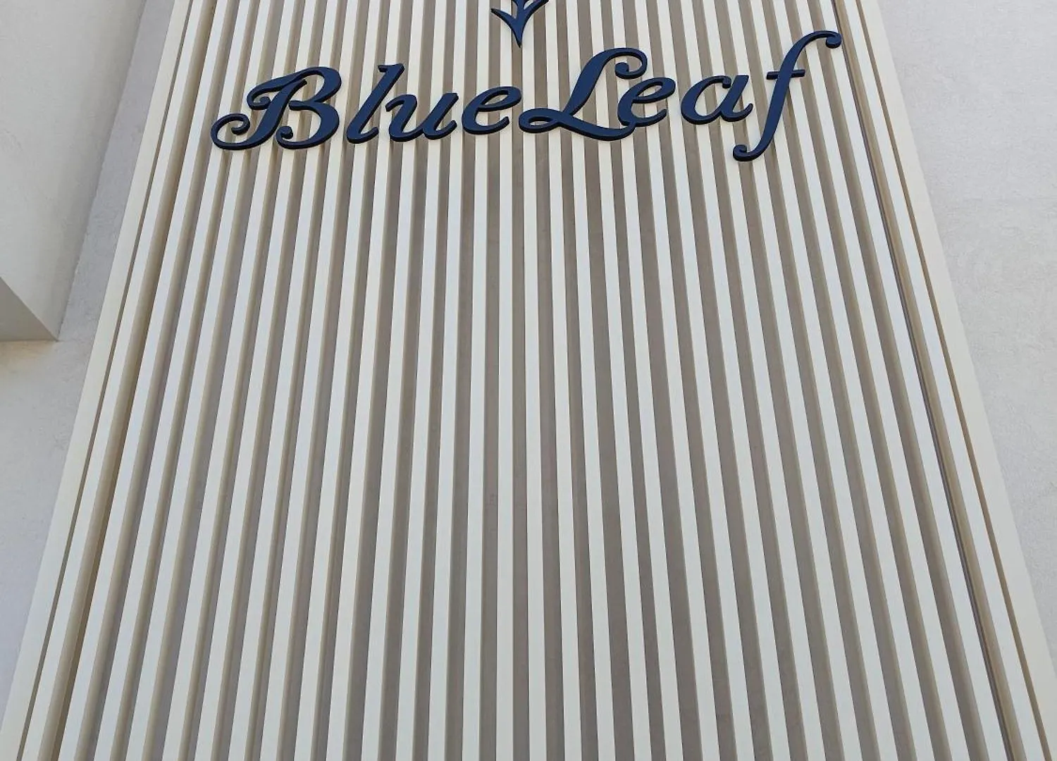 Blueleaf Hotel Stavros